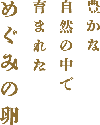 豊かな自然の中で育まれためぐみの卵