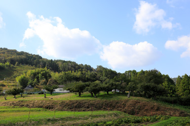 みずほファームのこだわり1:環境