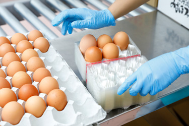 みずほファームのこだわり3:安心・安全