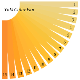 Yolk Colour Chart